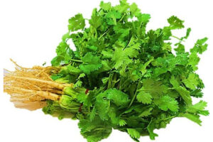 कोथंबीर / Coriander Leaves