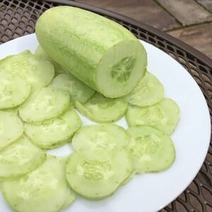 काकडी / Cucumber (White Skin)