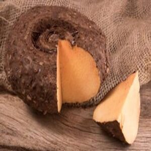 सुरण / Elephant Yam