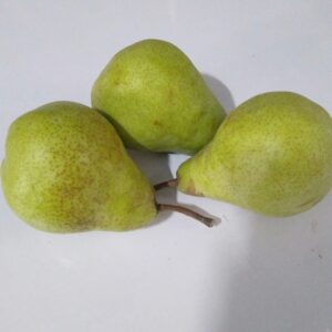 पेअर/ Pear