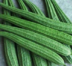 दोडका / Ridge Gourd