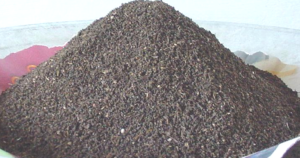 गांडूळ खत/ Vermi Compost