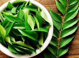 कढीपत्ता जुडी/ Curry Leaves