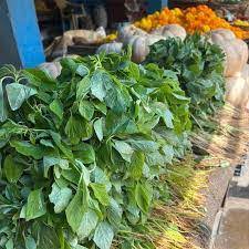चवळई/ Green Chavli leaves