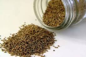 ओवा/ Celery Seed