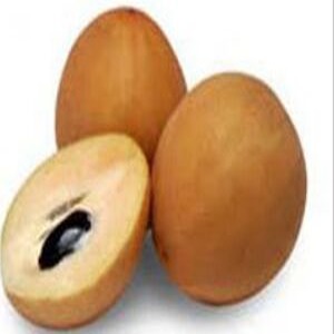 चिकू / Chiku / Sapota