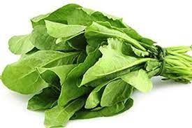 पालक / Spinach