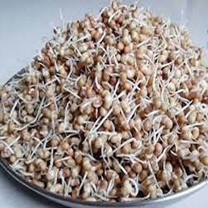 मोड मटकी/ Sprouted Matki