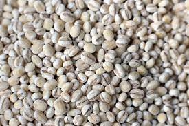 जव / Barli Seeds