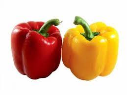 रंगीत सिमला / R/Y Capsicum
