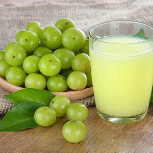 आवळा लिची सिरप/Gooseberry lichi syrup