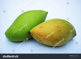 Totapuri raw mango/तोतापुरी कैरी